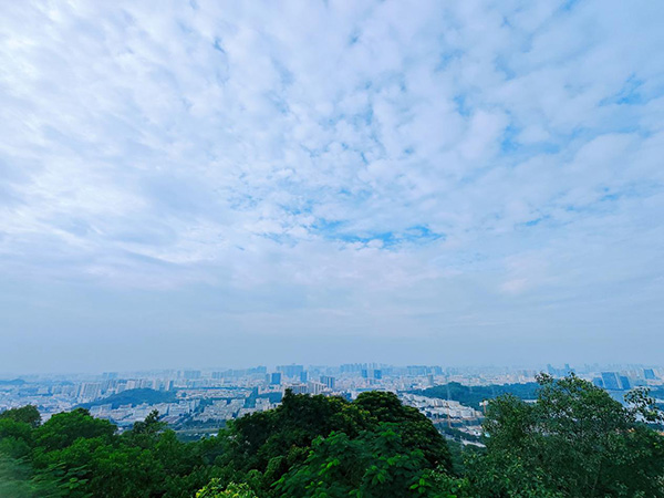 登山團(tuán)建丨攜手共進(jìn)&nbsp; 勇攀高峰